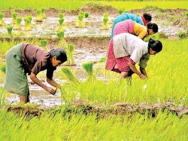 Why? घटस्थापना का करतात | भाग- 1